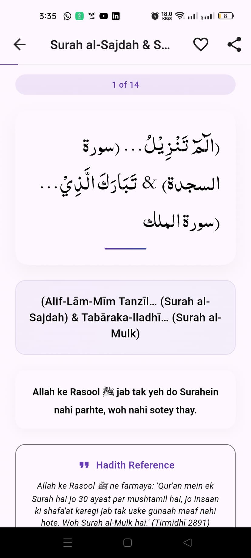 Surah Detail View